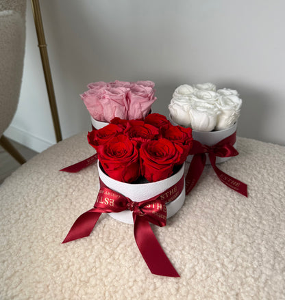 Trandafiri criogenati in cutie Luxury ESTHÉ - Royal Roses